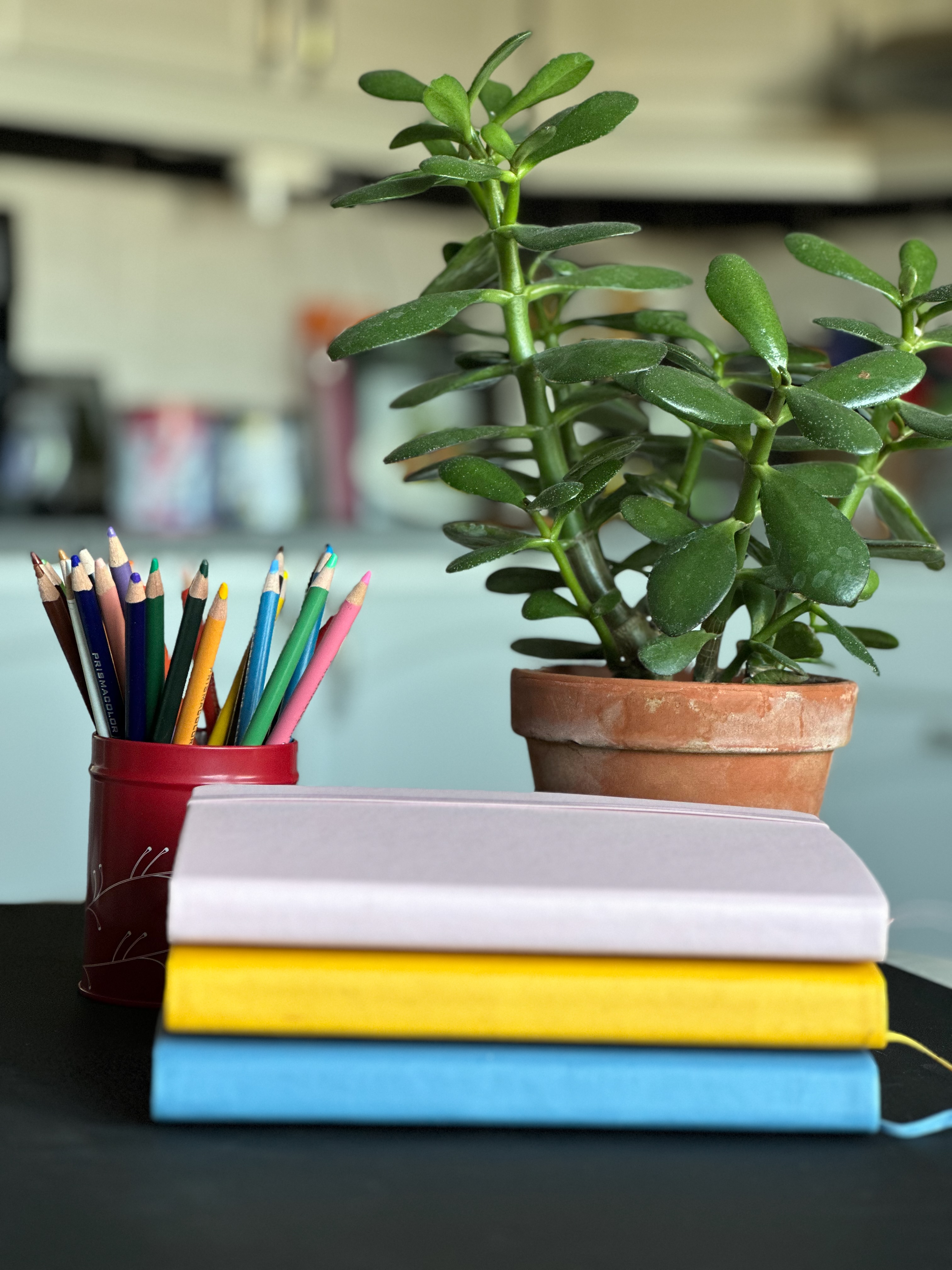 Välkommen till bloggen Skissboken utan regler – en plats där jag vill samla tankar om kreativitet för välmående samt bilder och inspiration kring kravlöst ritande och målande. Här berättar jag om varför jag startar bloggen och vad jag tänker fylla den med. Läs mer…